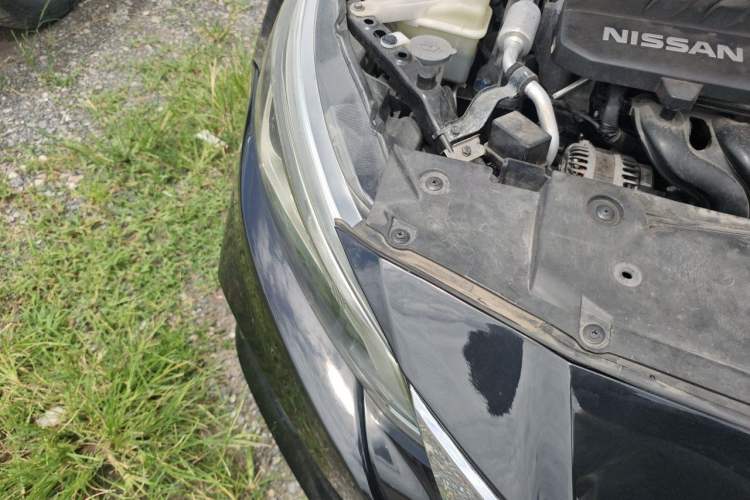Used Nissan Teana 2020 Revised Version 2.0L XL Comfort Edition Right Front Headlight