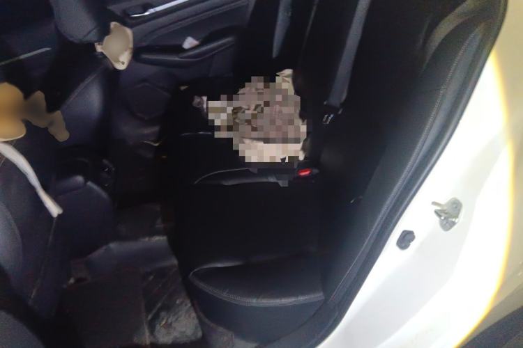 Used Nissan Teana 2020 2.0L XL Comfort Edition Interior 4