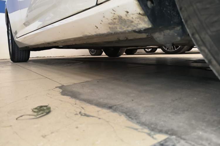 Used Nissan Teana 2020 Revised Version 2.0L XL Comfort Edition Right Side Sill