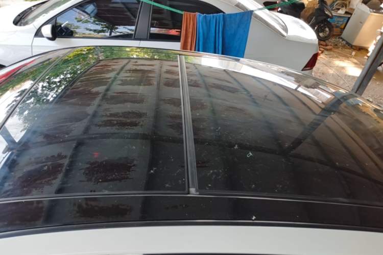 Used Nissan Teana 2020 2.0L XL Upper SmartDrive Version Roof