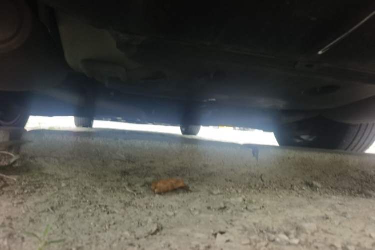 Used Nissan Teana 2021 2.0L XL Comfort Edition Chassis Rear