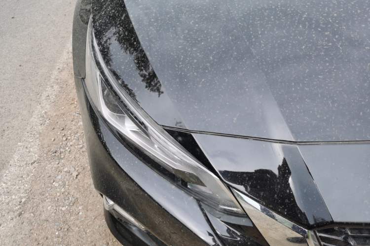 Used Nissan Teana 2021 2.0L XL Comfort Edition Right Front Headlight
