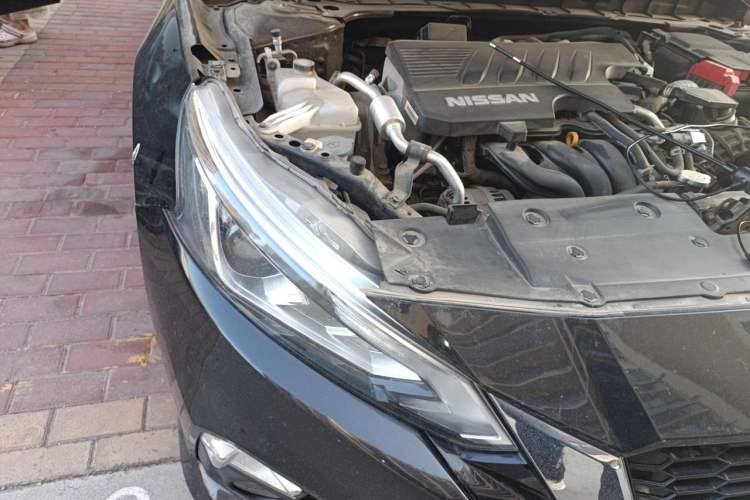 Used Nissan Teana 2021 2.0L XL Comfort Edition Right Front Headlight
