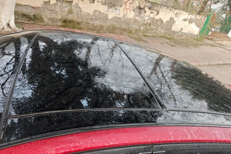 Used Nissan Teana 2021 2.0L XL Comfort Edition Roof