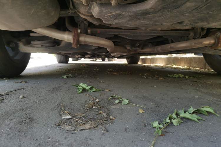 Used Nissan Teana 2021 2.0L XL Comfort Edition Chassis Rear