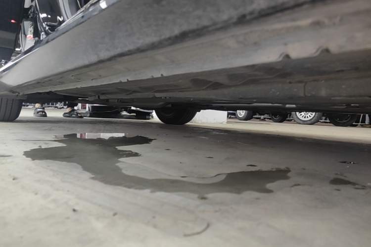 Used Nissan Teana 2022 2.0L XL-TLS Enjoyment Edition Right Side Sill