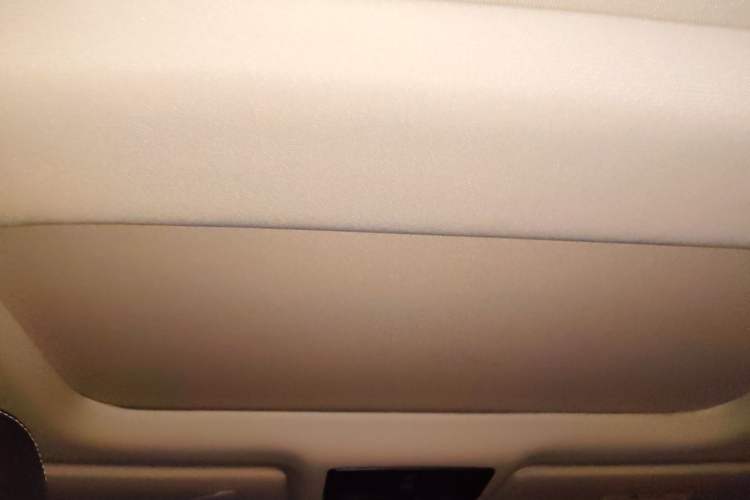 Used Nissan Teana 2022 2.0L XL-TLS Enjoyment Edition Headliner