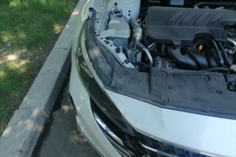 Used Nissan Teana 2022 2.0L XL-TLS Enjoyment Edition Right Front Headlight