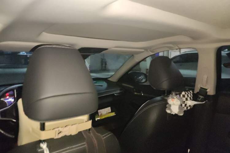 Used Nissan Teana 2024 2.0L SV Black Gold Edition Headliner