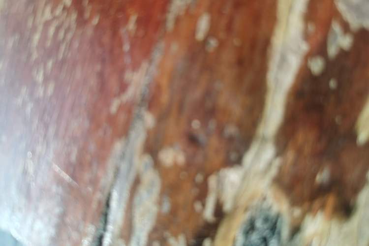 Used Nissan Teana 2024 2.0L XE Genuine Edition Right Side Sill