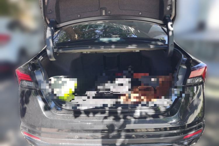 Used Nissan Teana 2024 2.0L XE Genuine Edition Trunk