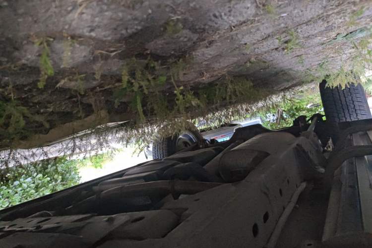 Used Nissan Terra 2018 2.5L Manual Two-Wheel Drive Elite Edition Chassis Front Right