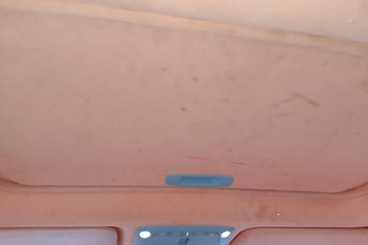 Used Nissan Terra 2018 2.5L Automatic 4x4 Flagship Edition Headliner