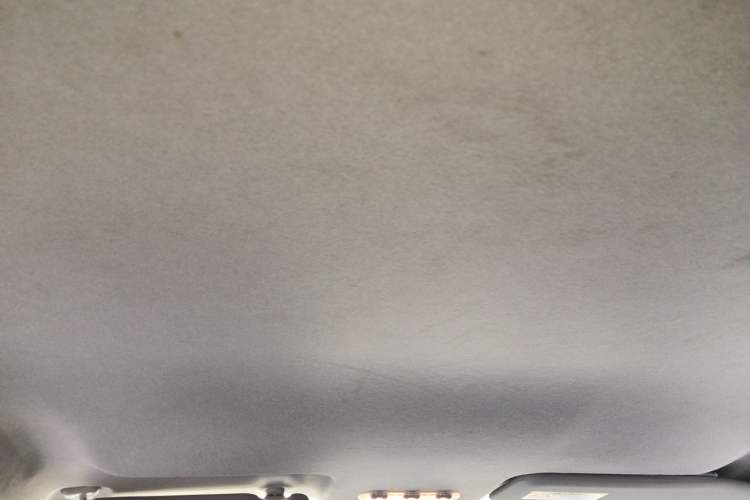 Used Nissan Terra 2020 2.5L XE Manual Two-Wheel-Drive Elite Edition Headliner
