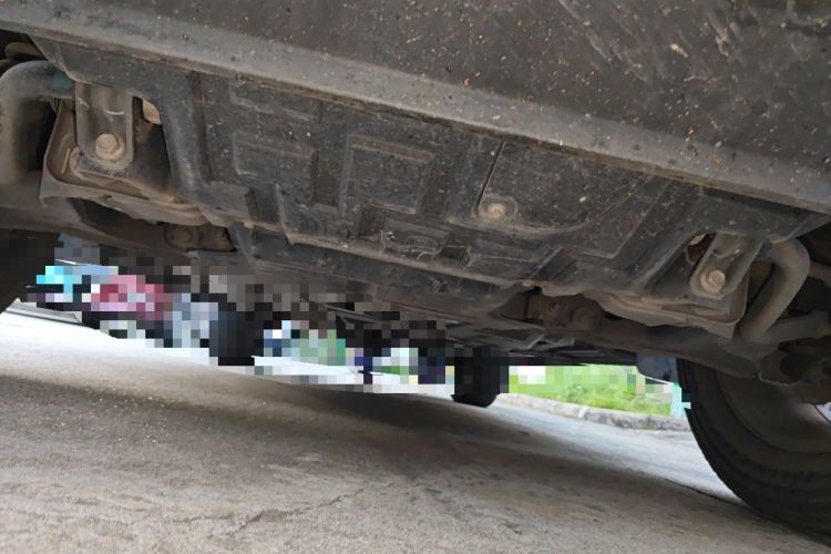Used Nissan Terra 2020 2.5L XL Upper Automatic Two-Wheel Drive Luxury Edition Chassis Front