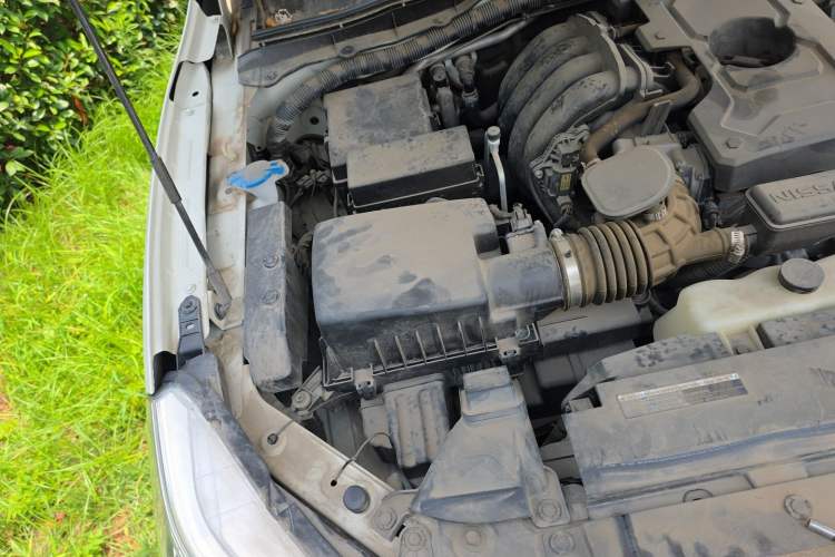 Used Nissan Terra 2020 2.5L XL Upper Automatic Two-Wheel Drive Luxury Edition Engine Bay Right