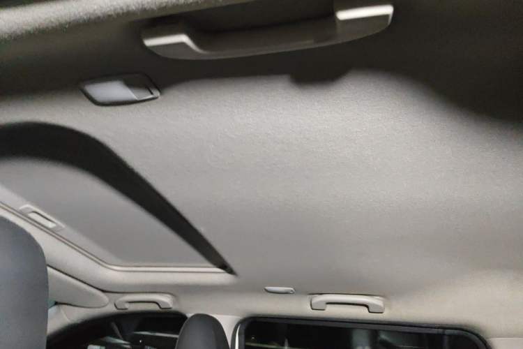 Used Nissan Terra 2020 2.5L XV 4WD Automatic Four-Wheel Drive Flagship Edition Headliner