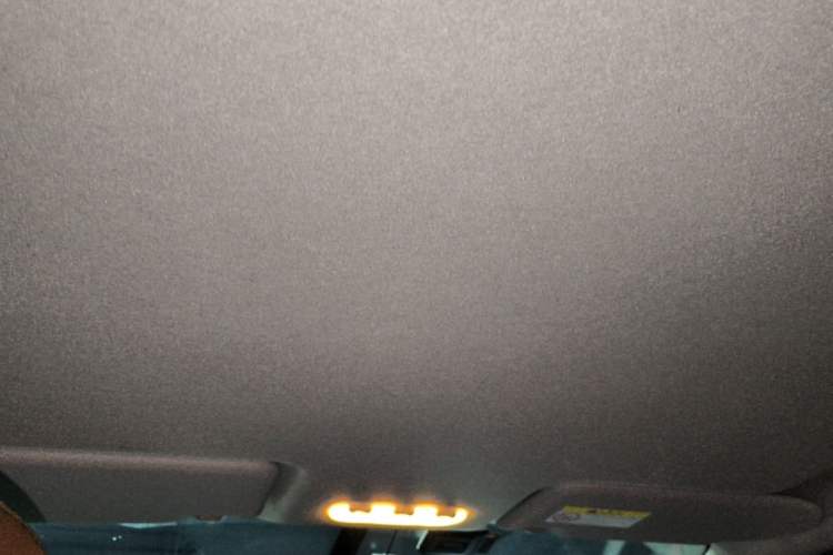 Used Nissan Terra 2020 2.5L XE Manual Two-Wheel-Drive Elite Edition Headliner