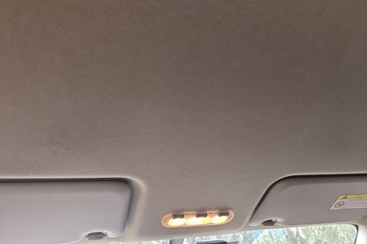 Used Nissan Terra 2020 2.5L XE Manual Two-Wheel-Drive Elite Edition Headliner