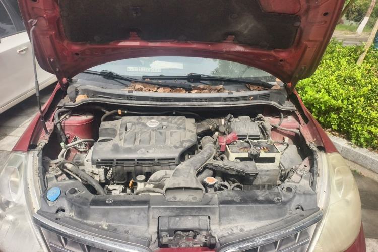 Used Nissan Tiida 2008 1.6L Automatic Smart Version Engine Bay