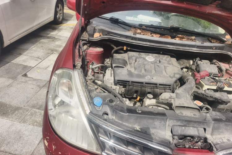 Used Nissan Tiida 2008 1.6L Automatic Smart Version Engine Bay Right