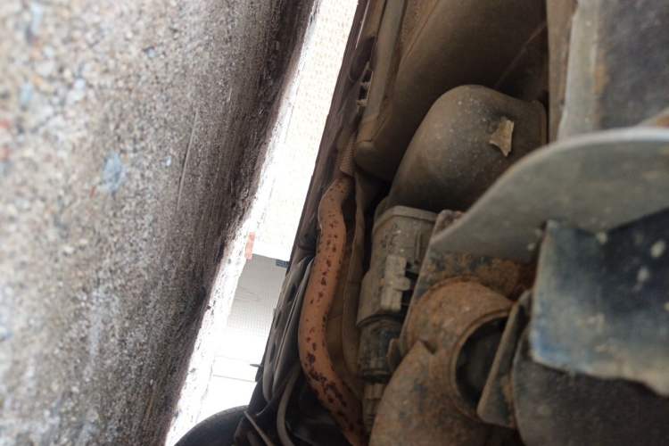 Used Nissan Tiida 2011 1.6L CVT Comfort Model Chassis Rear Left