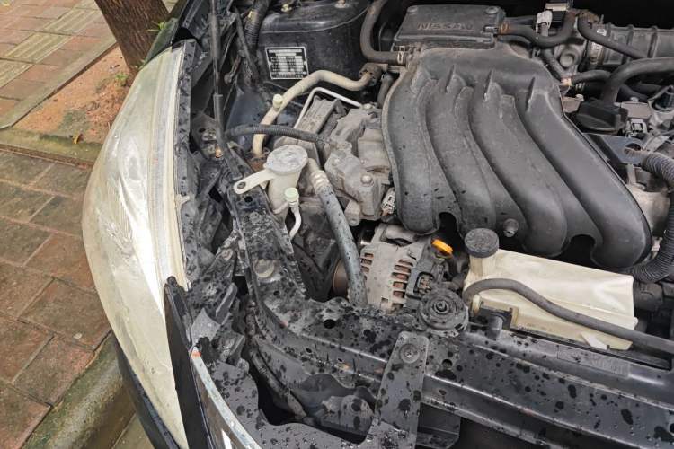 Used Nissan Tiida 2011 1.6L CVT Comfort Model Engine Bay Right