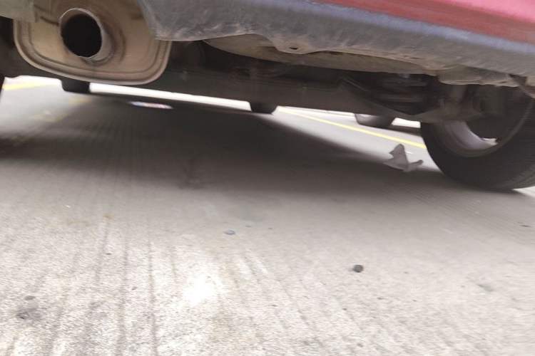Used Nissan Tiida 2011 1.6L CVT Comfort Model Chassis Rear