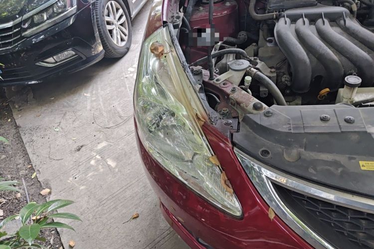 Used Nissan Tiida 2011 1.6L CVT Comfort Model Right Front Headlight