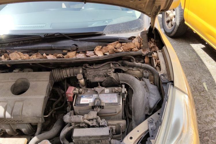 Used Nissan Tiida 2011 1.6L CVT Smart Version Engine Bay Left
