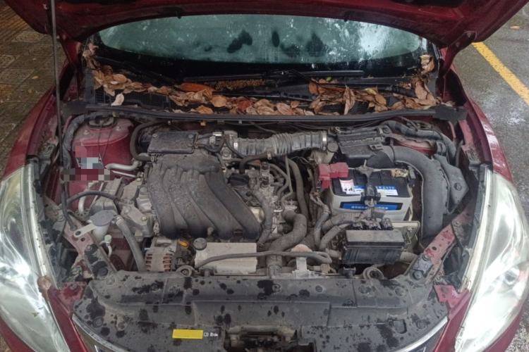 Used Nissan Tiida 2013 1.6L CVT Cool Cafe Edition Engine Bay