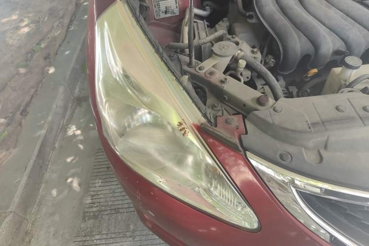 Used Nissan Tiida 2013 1.6L CVT Cool Cafe Edition Right Front Headlight