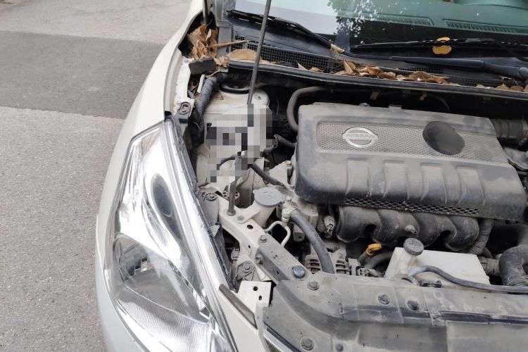 Used Nissan Tiida 2013 1.6L CVT Cool Cafe Edition Engine Bay Right