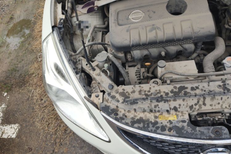Used Nissan Tiida 2013 1.6L CVT Cool Cafe Edition Engine Bay Right