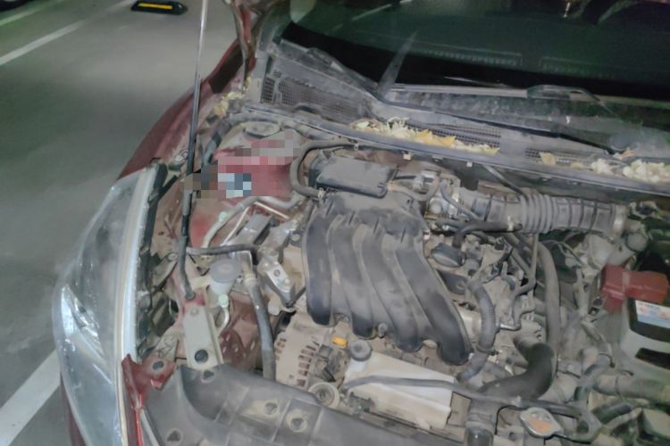 Used Nissan Tiida 2014 1.6L CVT Comfort Model Engine Bay Right
