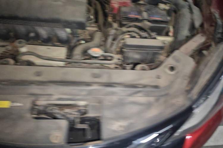 Used Nissan Tiida 2019 1.6L CVT Cool Edition China VI Standard Engine Bay Left