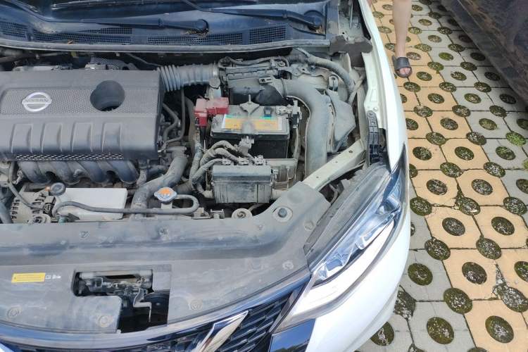 Used Nissan Tiida 2019 1.6L CVT Cool Edition China VI Standard Engine Bay Left