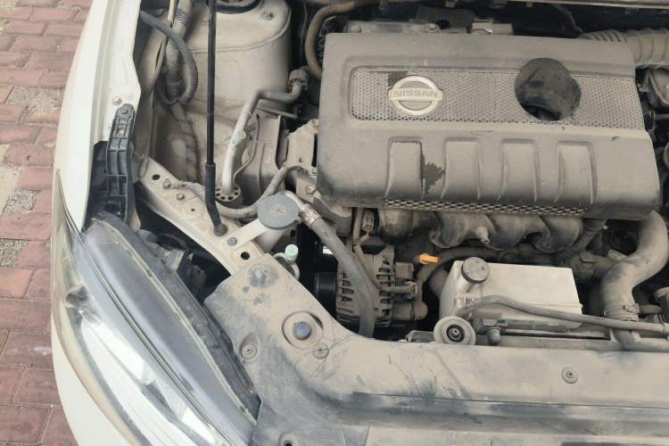 Used Nissan Tiida 2019 1.6L CVT Cool Edition China VI Standard Engine Bay Right