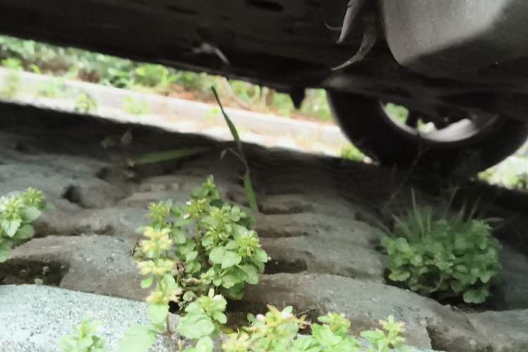 Used Nissan Tiida 2021 1.6L CVT Smart Drive Edition Chassis Front Right