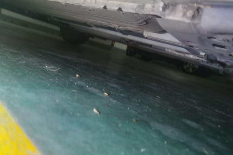 Used Nissan Tiida 2021 1.6L CVT Cool Edition Chassis Front Right