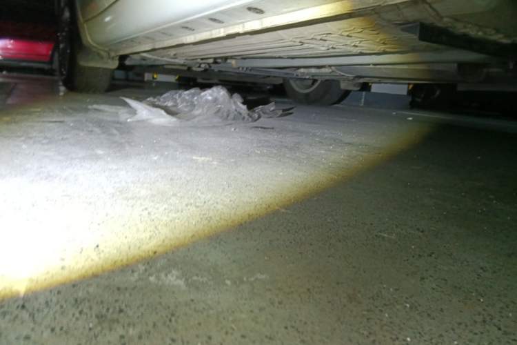 Used Nissan Tiida 2021 1.6L CVT Cool Edition Chassis Rear Left