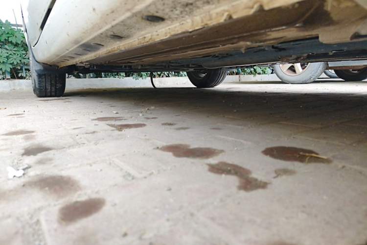 Used Nissan Tiida 2021 1.6L CVT Cool Edition Chassis Rear Right