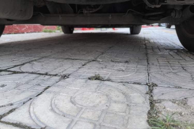 Used Nissan Tiida 2021 1.6L CVT Smart Drive Edition Chassis Rear