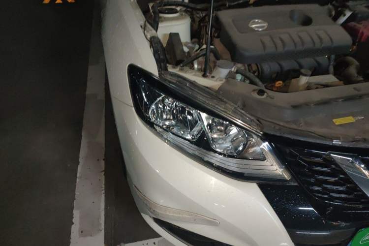 Used Nissan Tiida 2021 1.6L CVT Cool Edition Exterior 6