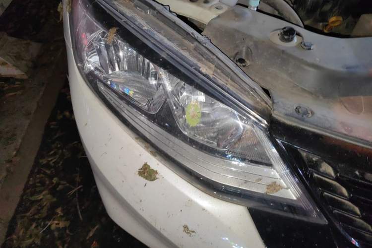 Used Nissan Tiida 2021 1.6L CVT Cool Edition Right Front Headlight