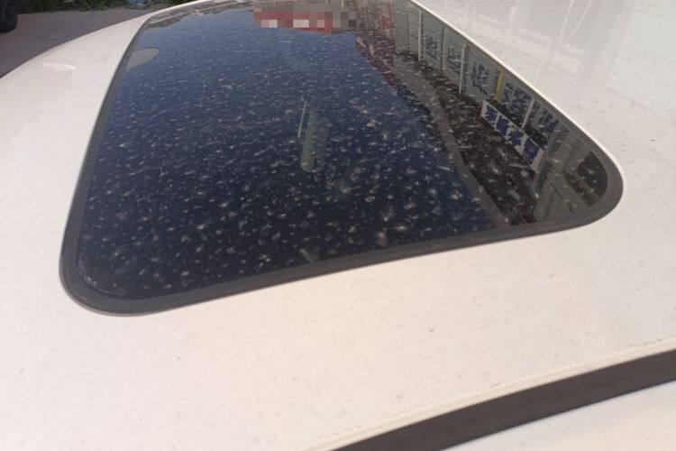 Used Nissan Tiida 2021 1.6L CVT Smart Drive Edition Roof