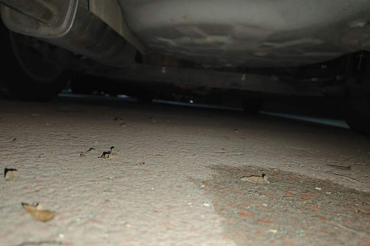 Used Nissan Tiida Sedan 2008 1.6L Manual Smart Version Chassis Rear
