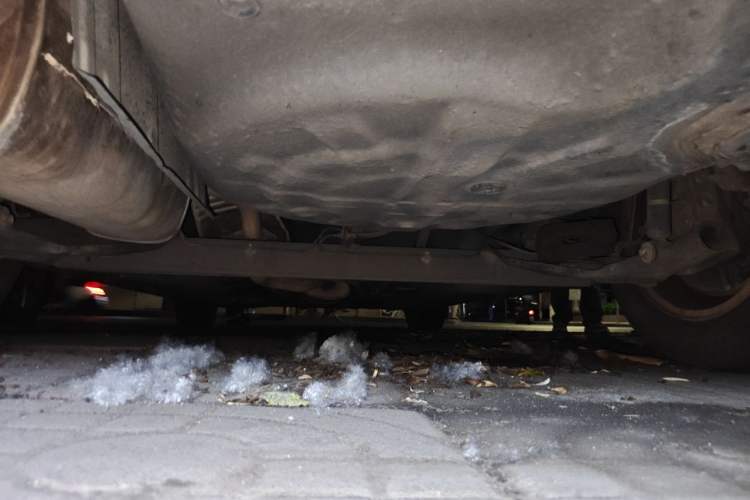 Used Nissan Tiida Sedan 2008 1.6L Automatic Smart Version Chassis Rear