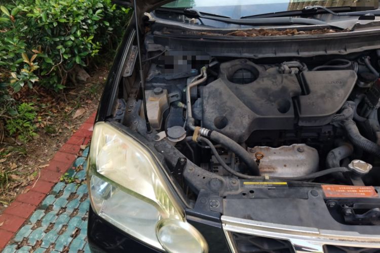 Used Nissan X-Trail 2010 2.5L CVT Luxury Edition 4WD Engine Bay Right