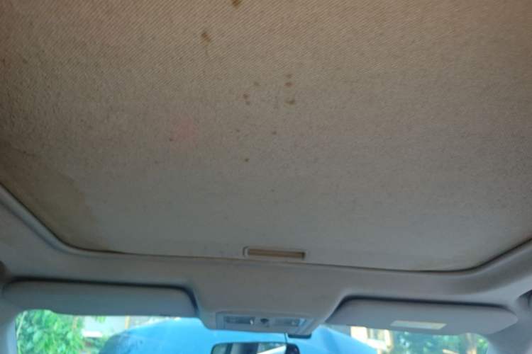 Used Nissan X-Trail 2010 2.5L CVT Luxury Edition 4WD Headliner